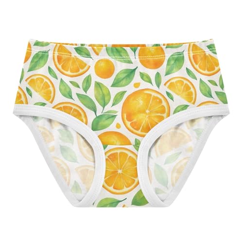 Joisal Girls Underwear Toddlers 2t Cotton Girl Panties Cute Bright Kids Undies Briefs Watercolor Orange Slices Greenleaves