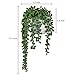 MyGift Artificial Faux String of Pearls Plants in White Ceramic Wall Hanging Planter Pot with Jute Rope, Set of 2