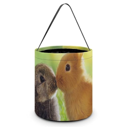 nEB LfBoXPbg  ETM  X LfB َq Rei 񂰑 y p[eB[LOi v[g OWp