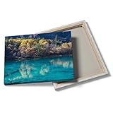 The beauty of nature Customized canvas printing photos Customize canvas to print your own photos Suitable for home decoration gifts and souvenirs hanging at any time -16x24