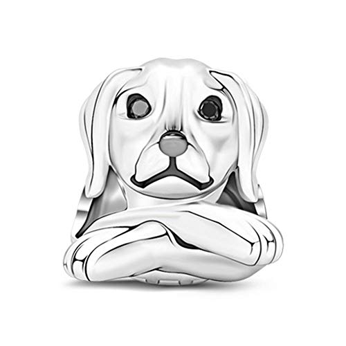 Best Obedient Dog