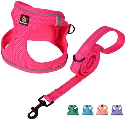 BELLA & PAL Dog Harness and Leash Set, Step-in Small Dog Harness for Extra Small Dogs, Soft Mesh Breathable Harness with Reflective Strip, Puppy Harness No Pull Harness for Small Dogs, Hot Pink, XXS