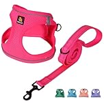 BELLA & PAL Dog Harness and Leash Set, Step-in Puppy Harness, Breathable Air Mesh with Reflective Strips, No Pull Vest for Puppies/Extra Small/Small Dogs, Hot Pink, XXS
