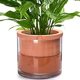 Phoenix Vine 10 Inch Self Watering Planter, White Terracotta Pot for Plants, Indoor Cylinder Terra Cotta Pot with Glass Vase