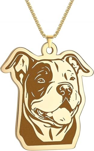 Collier Pitbull en plaqué or avec sa chaîne de boîte élégante