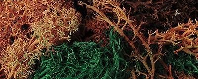 Javis Scenic Lichen, Bulk Pack, Mixed Colour, Model Railway/Wargaming