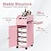 Hair Salon Trolley Cart with Wheels - Rolling Storage Cart with Drawers - Mobile Makeup Case - Lockable Hairdressing Tools Organizer - 3 Hair Dryer Holders, 4 Drawers, Side Tray, and 2 Keys - Pink