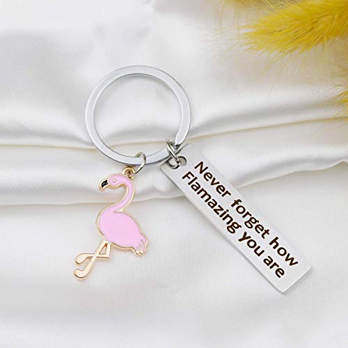 Motivational Flamingo Keychain Never Forget How Flamazing You Are Keychain Flamingo Lover Jewelry Gift For Family Bff Animal Lovers #TOP4
