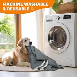 LOOBANI-Waterproof-Dog-Blanket-Anti-Slip-Bed-Couch-Covers-for-Dogs-2-Pack-Soft-Pet-Blankets-to-Protect-Furniture-Sofa-Car-for-Puppy-Cat-Kids-54X82-Dark-Grey - Cucciolini Doodles   LOOBANI-Waterproof-Dog-Blanket-Anti-Slip-Bed-Couch-Covers-for-Dogs-2-Pack-Soft-Pet-Blankets-to-Protect-Furniture-Sofa-Car-for-Puppy-Cat-Kids-54X82-Dark-Grey