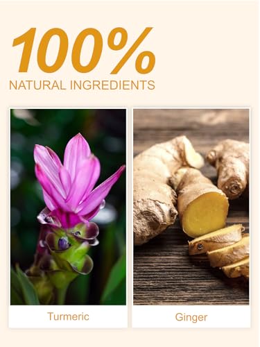 Image of TeeLux Turmeric Ginger Tea Bags, Spicy & Smooth Taste, Caffeine Free, 100ct | Natural Turmeric & Ginger Herbal Tea, Warming Spicy Notes, Sugar Free, Enjoy Hot or Iced