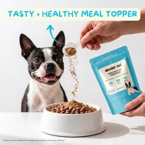 Image of Absolut Pet Probiotic Gut Health Powder for Dogs | 90 Servings