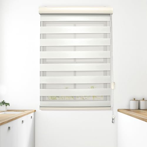 Elegant Comfort Zebra Blinds, Dual Layer Window Treatments Sheer, Privacy Light Control, Pull Strings Roller Window Shades, Day and Night Window Drapes (58Wx72L, Beige)