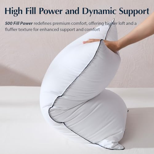 Pacific Coast Pillows Queen Size Set of 2, Goose Down Fiber Bed Pillows for Sleeping, Hotel Pillows, Downproof, Medium, White