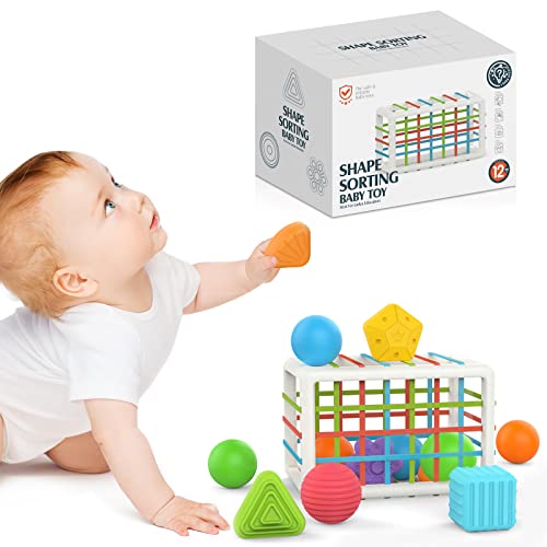 10 Best Baby Sorters Reviews and Buying Guide BabyStuffLab