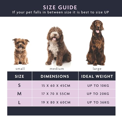 Couchage pour chien en velours de qualité supérieure et finitions gris