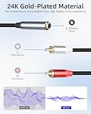 RIIEYOCA 6.35mm to 2 RCA Splitter Audio Cable,1/4 inch TRS Stereo Jack Female to Dual RCA Male Plug Cable for Sound Mixers, Amplifier, AV Receiver (1.8m/5.9ft) - Image 3