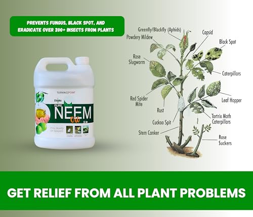 Image of Chipku Pure Cold Pressed Water Soluble Neem Oil 5Ltr With Free Spray Gun Concentrate For Plants & Garden For Indoor And Outdoor Removes Aphids Fungus Thriphs Mildew For Making 1000 Neem Spray Bottles