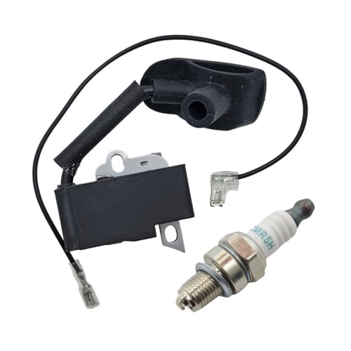 Kit bobine d'allumage bougie 42824001305 souffleur de feuilles BR500 BR550 BR600