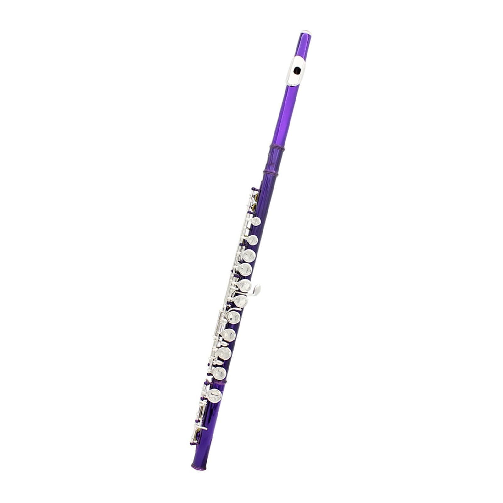 Flauto Flauto viola 16 fori C Tune Flauto con scatola in pelle Borsa per flauto Accessori per strumenti musicali Kit di pulizia