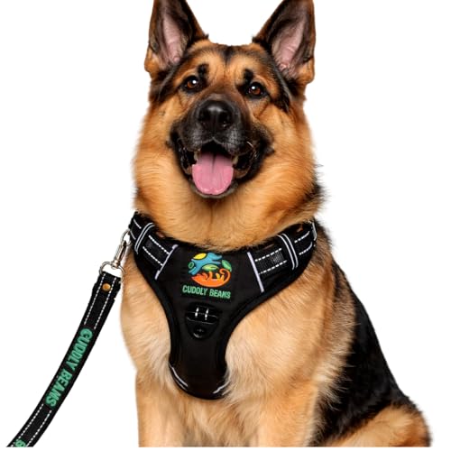 Image of Adjustable Padded Dog Harness with Leash, Black, XL (36-60 kg)