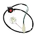 Tao Tao ATV Wiring Harness - CDI Ignition Coil 2 Coil Magneto Stator Plate Set for 50cc-125cc ATVs