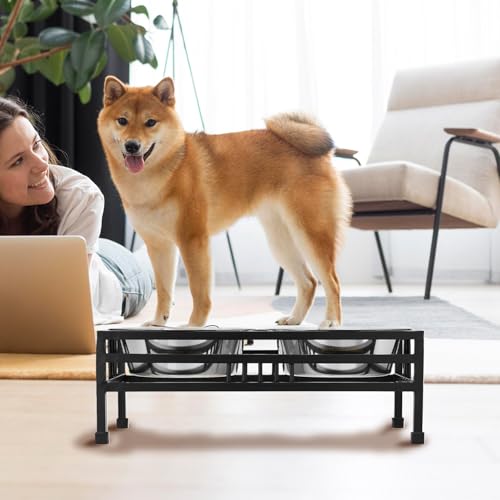 Image of amazon basics, Pet Feeder | Stainless Steel Food & Water Bowls with Stand | Dog Bowls | Elevated Double Diner with Stand | Large Size (1600 ml x 2 Bowl) (Black)