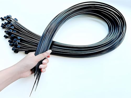 TradeWind oh ^Cbv בoh Ό zpoh | [ O(100cm25{Zbg)