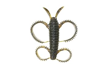 ワームまとめ売り、脚長沈み虫セット 新品未使用】限定 脚長沈み蟲 1.8 2色セット 沈み虫 ISSEI