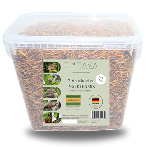 ENTAVA 3l nachhaltiger Insektenmix getrocknet in Premium-Qualität, Vogelfutter, Koifutter, Igelfutter, Eichhörnchenfutter, ganzjähriges Futter für Wildvögel