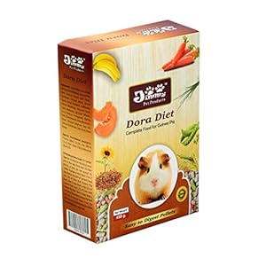 JiMMy Pet Products Dora Diet Food for Guinea Pig (400gm)