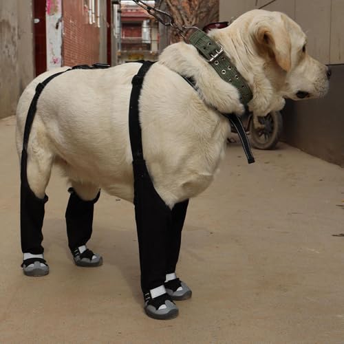 Hosenträger für Canini-Stiefel, wasserdicht, verstellbar, für Haustiere, Leggings, Hundeschuhe mit Hosenträgern für den Winter, Schnee, Regen, Wandern und Reisen