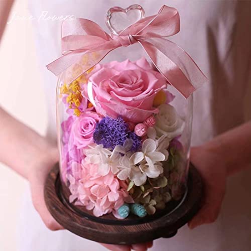 OSONA ỉ ͂Ȃ vU[uht[ v[ga MtgސEj NX}X ̓ t[Mtg {bNX o KXh[ o^Cf[ ̓ hV̓ hCt[ LO җj j JXj LOi 