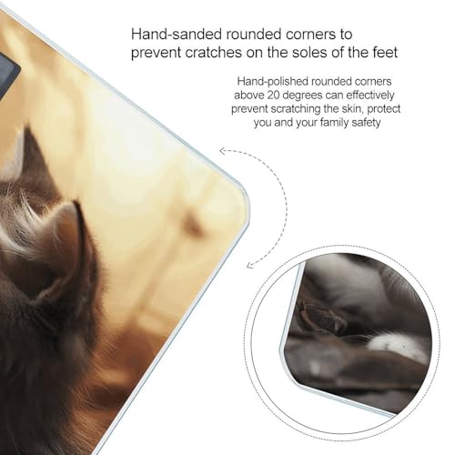 Báscula digital de baño Cat Kiss, vidrio templado miniatura 4