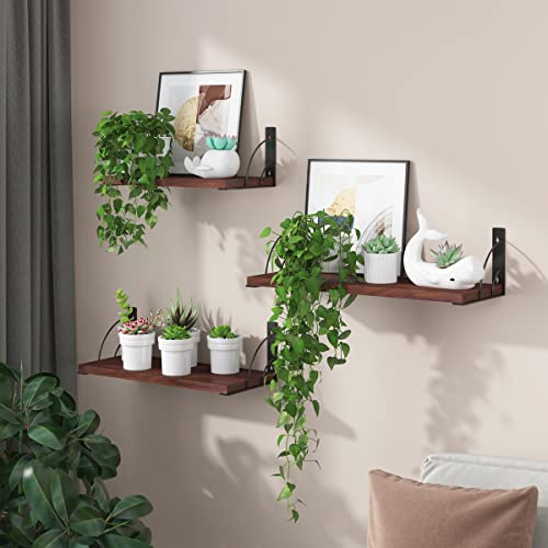 Plantshome Fun Floating Shelves,Mid Century Modern Eco Board Wall Mounted Shelf For Bedroom, Living Room, Bathroom, Kitchen, Office,Laundry Room Storage And Decoration (Walnut) #TOP1