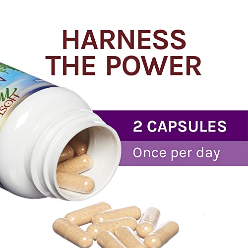 Host Defense, Mycommunity Capsules, Advanced Immune Support, Mushroom Supplement With Lion’s Mane And Reishi, Unflavored, 60 #TOP4