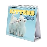 😸 ERIK - Grupo Erik cuenta con una amplia gama de calendarios de pared y de escritorio fabricados en España con diseños adaptados a nuestro público más exigente. Especializados en papelería, merchandising y póster con las licencias más actuales del mercado