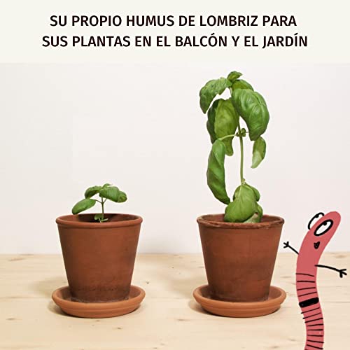 Wurmkomposter WormBag - Wurmkiste mit 150L Fassungsvermögen, braucht trotzdem Nicht mehr Platz als eine Biotonne < 0,5m² - lebende Kompostwürmer & EM Machen aus jedem Komposter Schnellkomposter - Image 7