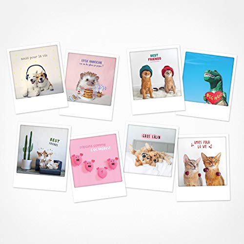 PICKMOTION Amitié - Animaux Cover