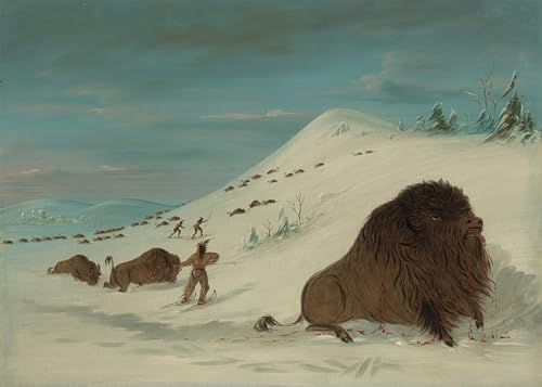 Tableau Animal Sioux George Catlin : toile grand format Salon