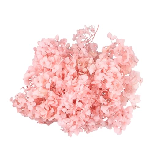Pétalos Secos Naturales de Hortensia Rosa para Manualidades