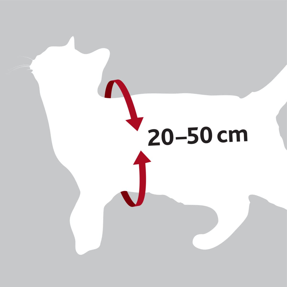 Trixie Imbracatura e Cintura di Sicurezza per Gatti, 20 – 50 cm, Rosso