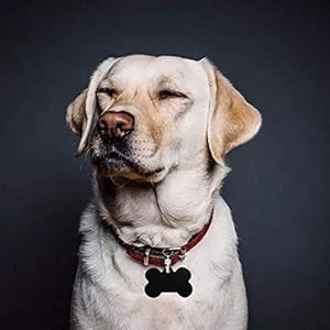   30-Pcs-Bone-Shape-Pet-ID-Tag-Blank-38MM-Personalized-Aluminium-Pendants-Tag-Dog-Cat-Pet-Name-Phone-Number-ID-Tag-Charm-with-Key-Ring-for-Dogs-Cats