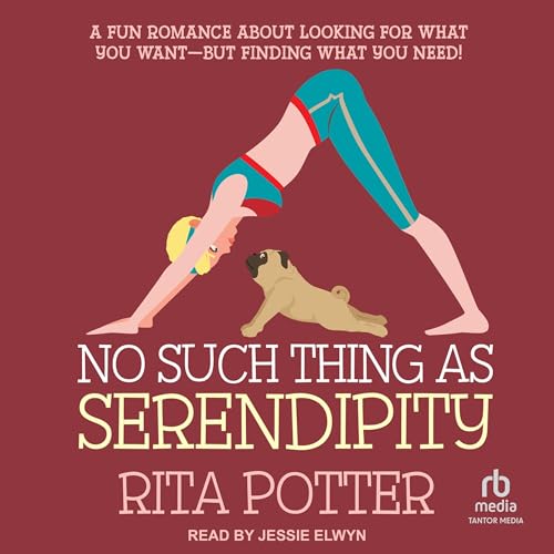 Couverture de No Such Thing as Serendipity