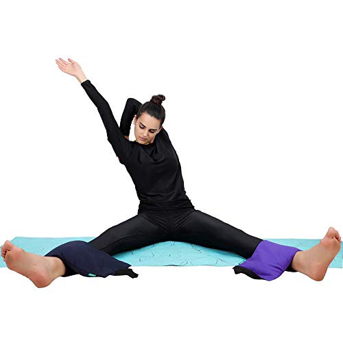 Healthandyoga(Tm) Yoga Sand Bags - Double Bag With Inner Waterproof Bag - Prop For Adding Weight And Support (Purple) #TOP4