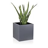 Macetas de fibra de vidrio CUBO, gris mate