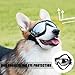 UV-Schutzbrille für Hunde; Einstellbar Hunde Sonnenbrille; Hundebrille Schützen Sie die Augen Ihres Hundes; Schutzbrille Wasserdicht Winddicht Antibeschlagbrille Augenschutz für Groß/Mittel Hund