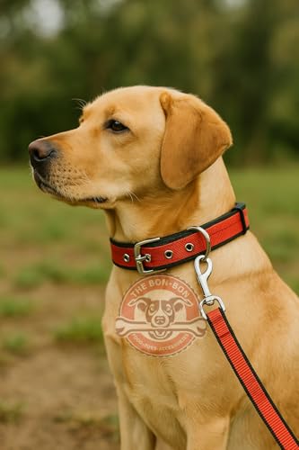 Image of THE BON BON Premium 5ft Dog Leash and Collar Set for Large Dogs | Heavy Duty Nylon with Reflective Stitching, Padded Handle, Adjustable Collar | Ideal for Walking and Training (Red, Large)