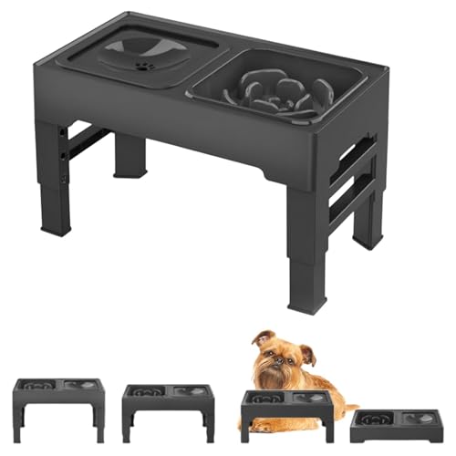 Lifetips xWAOtH Lp H t[h{EX^h {E  ܂肽 pT|[g Hׂ₷ Hh~ 􂢂₷ ~  i4iK ubNj