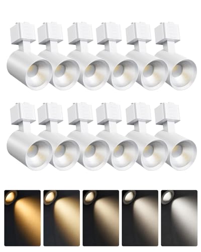 ALAMPEVER 12 Pack LED Track Lighting Heads Dimmable J Type LED Track Lights with 5 Selectable Color Temperatures 2700K/3000K/3500K/4000K/5000K 10W 800LM 36 Ideal for Home Commercial Use White