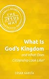 What Is God's Kingdom and What Does Citizenship Look Like? (Jesus Way: Small Books of Radical Faith)